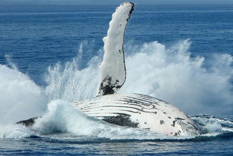 EcoExperience Colombia