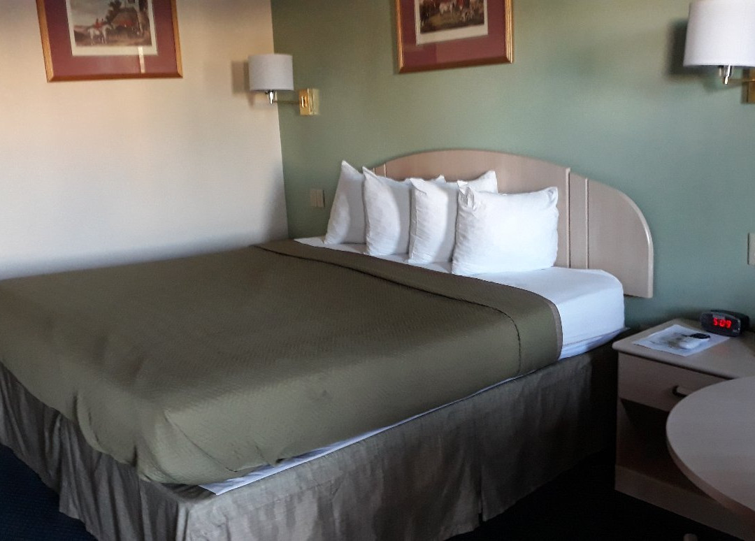 Travelodge by Wyndham Holbrook主图