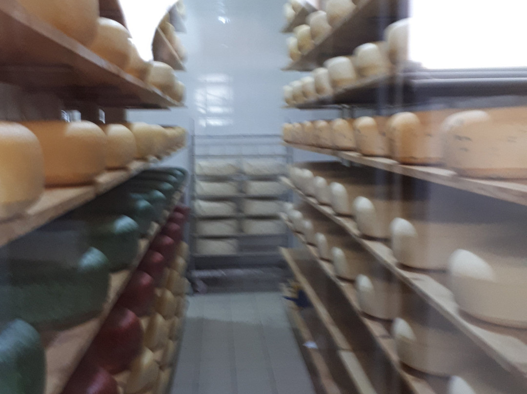 Yevropeyskaya Syrovarnya-Shabo必去景点