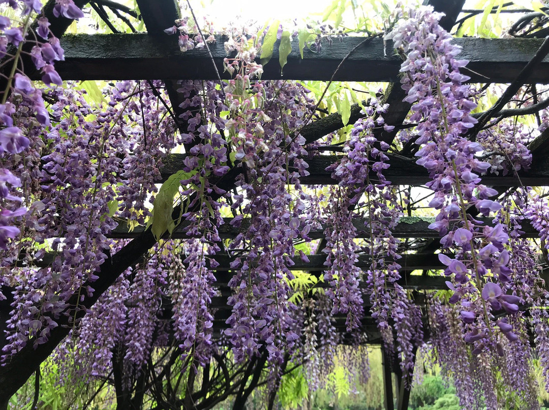 Jardín Japonés de Escobar景点图片