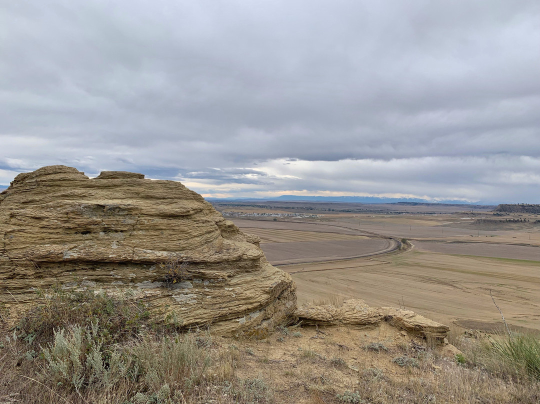 Phipps Park-比灵斯必去景点