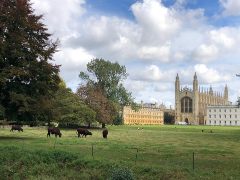 Cambridge in Hebrew-剑桥必去景点