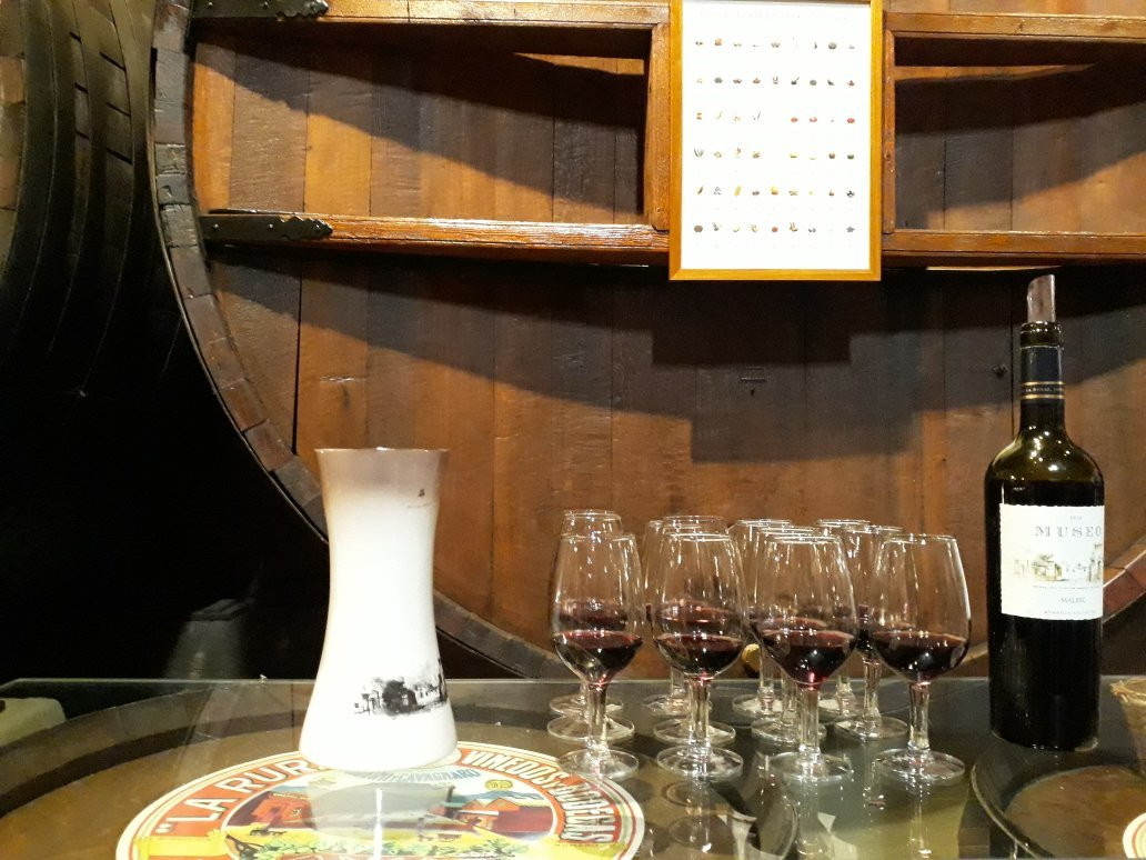 Museo del vino-Maipu必去景点