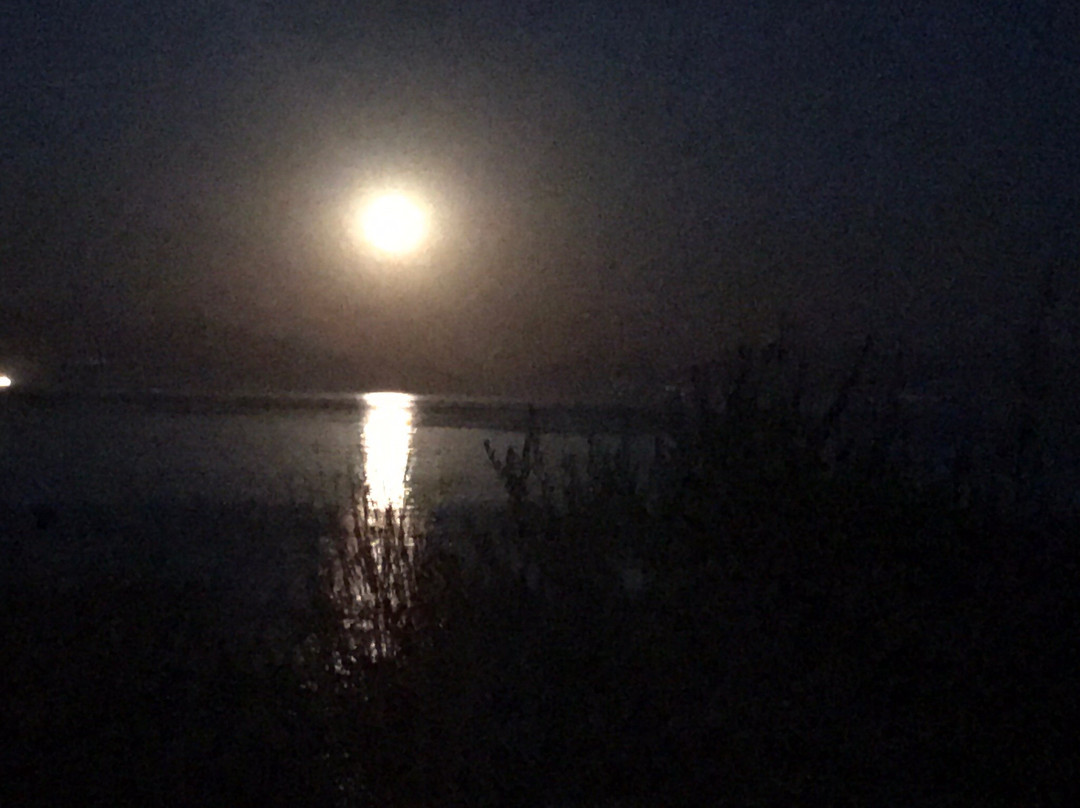 Logga Beach Hotel主图