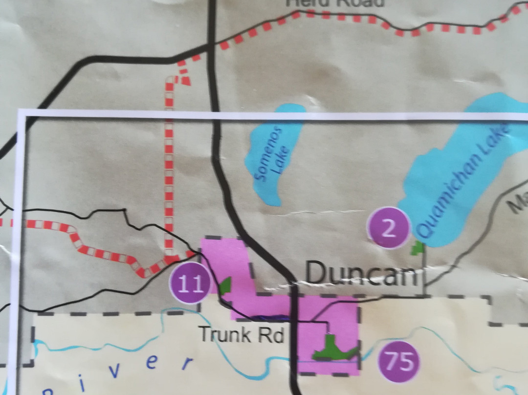 Cowichan Bay Kayaking and Adventure Centre-Cowichan Bay必去景点