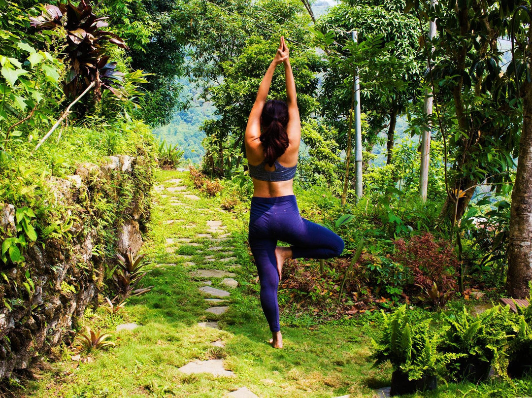 YogDaan Yoga-大吉岭必去景点