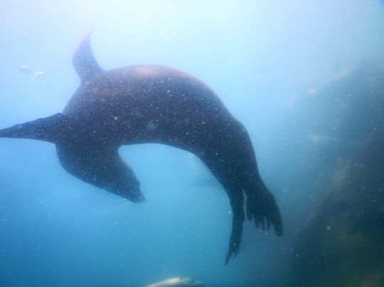 Rocio del Mar-圣何塞卡波必去景点
