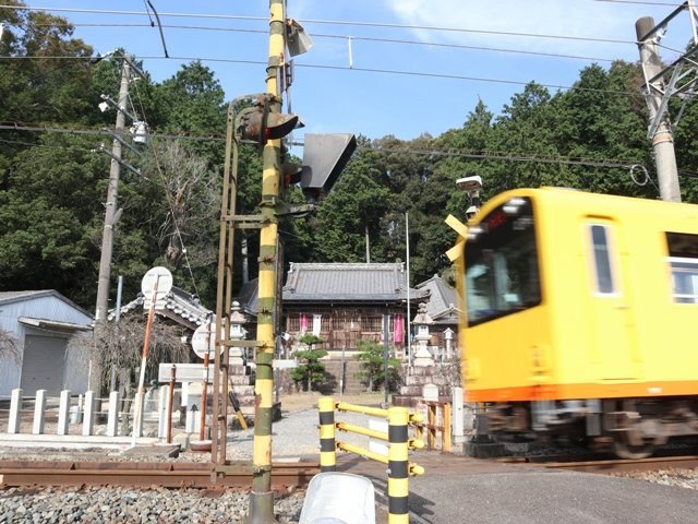 Hachiman Shrine景点图片