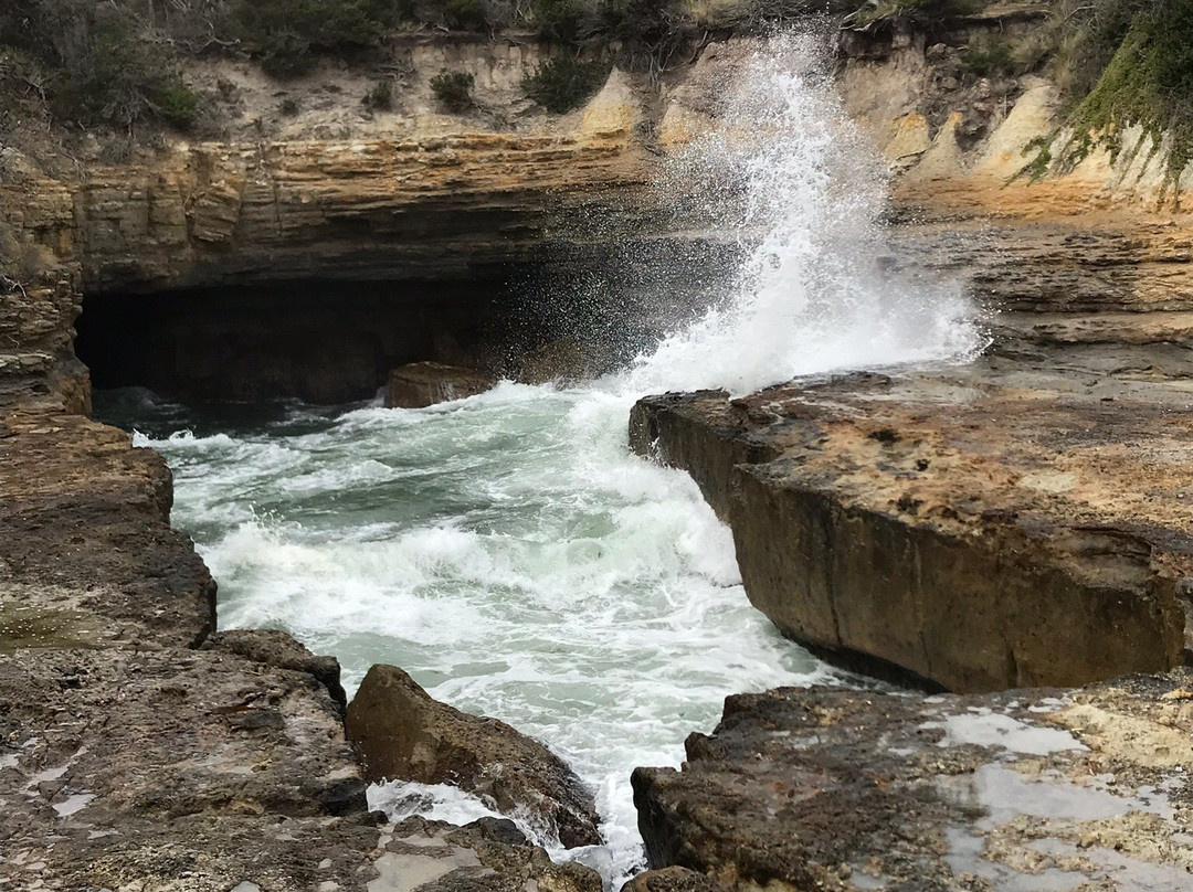 Eaglehawk Neck Historic Site景点图片