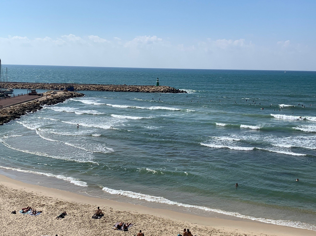 Independence Park-特拉维夫必去景点