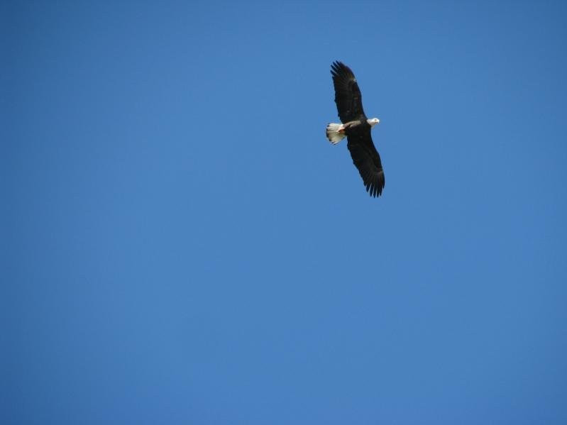 Meadow Park Lake-Crossville必去景点