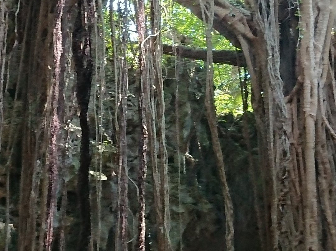 Gangala山谷-南城市必去景点