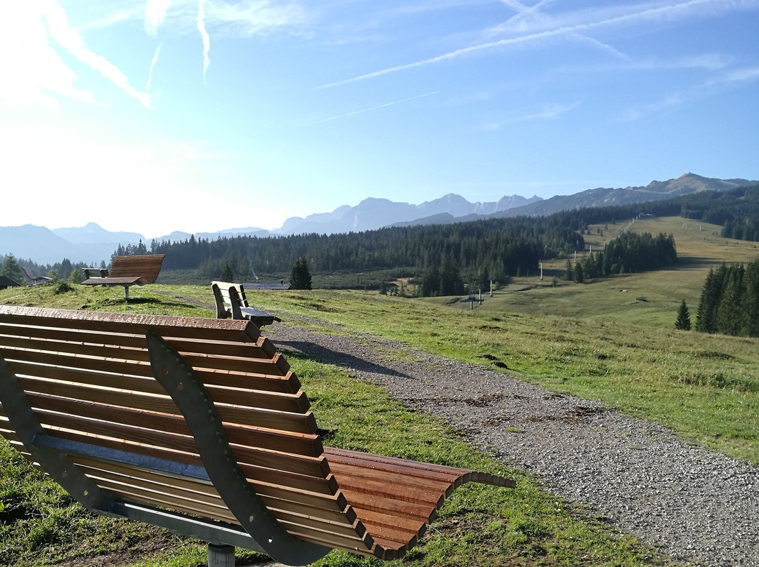 Dark Sky Park Winklmoos-Alm-Reit im Winkl必去景点
