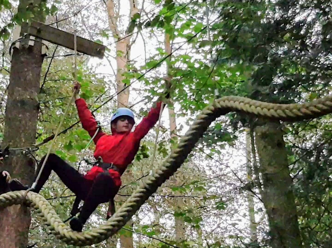 Craufurdland Tree Top Trials and Activities景点图片