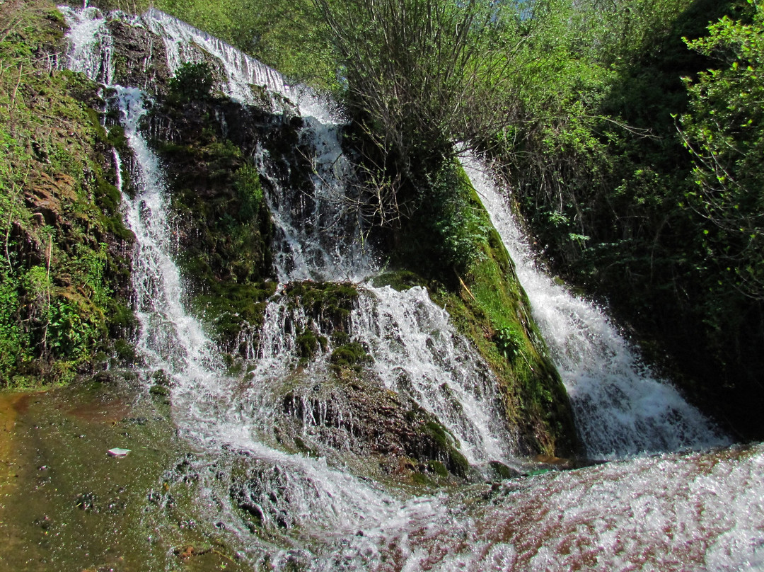 Homa (Gumussu) Selalesi景点图片