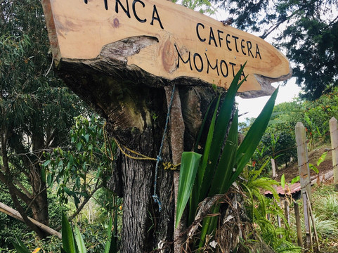 Finca Momota-萨伦托必去景点