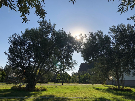 Assos Altın Otel主图