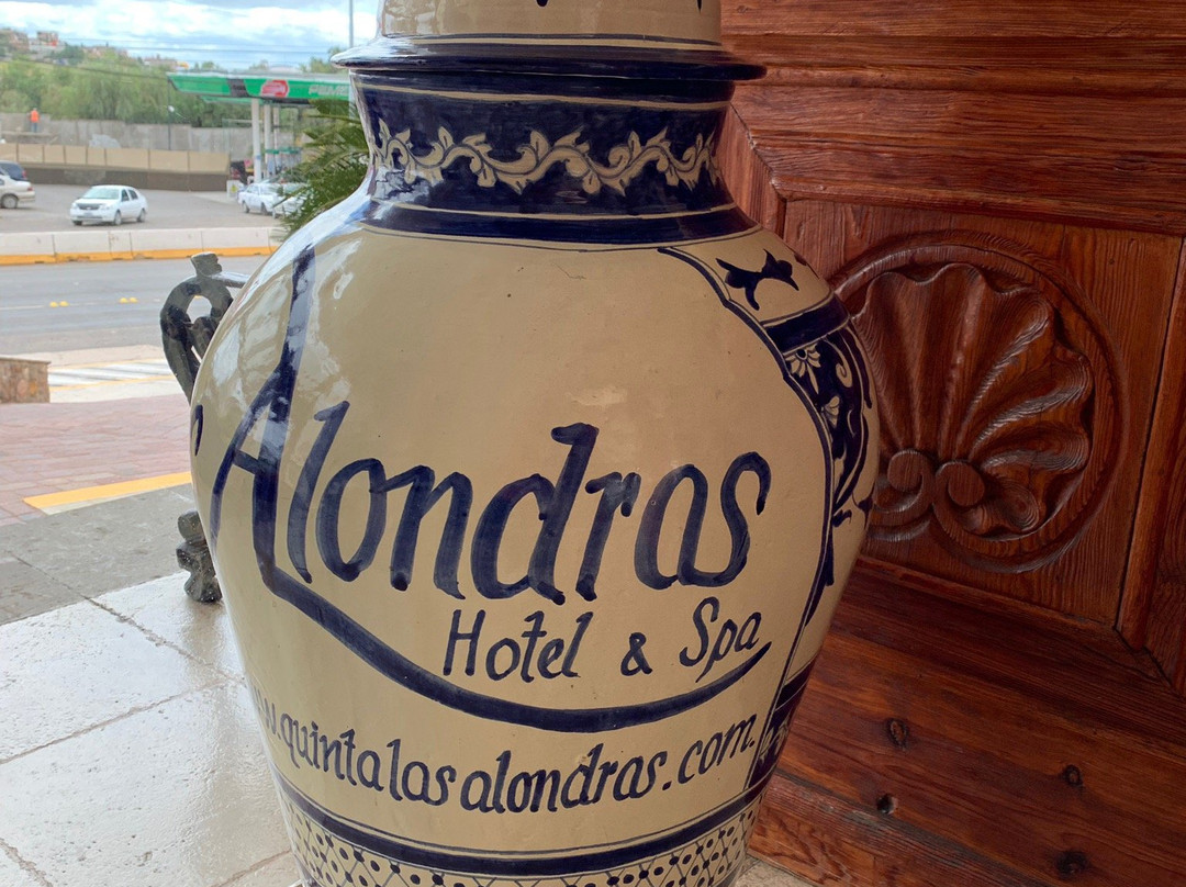 Quinta Las Alondras Hotel主图