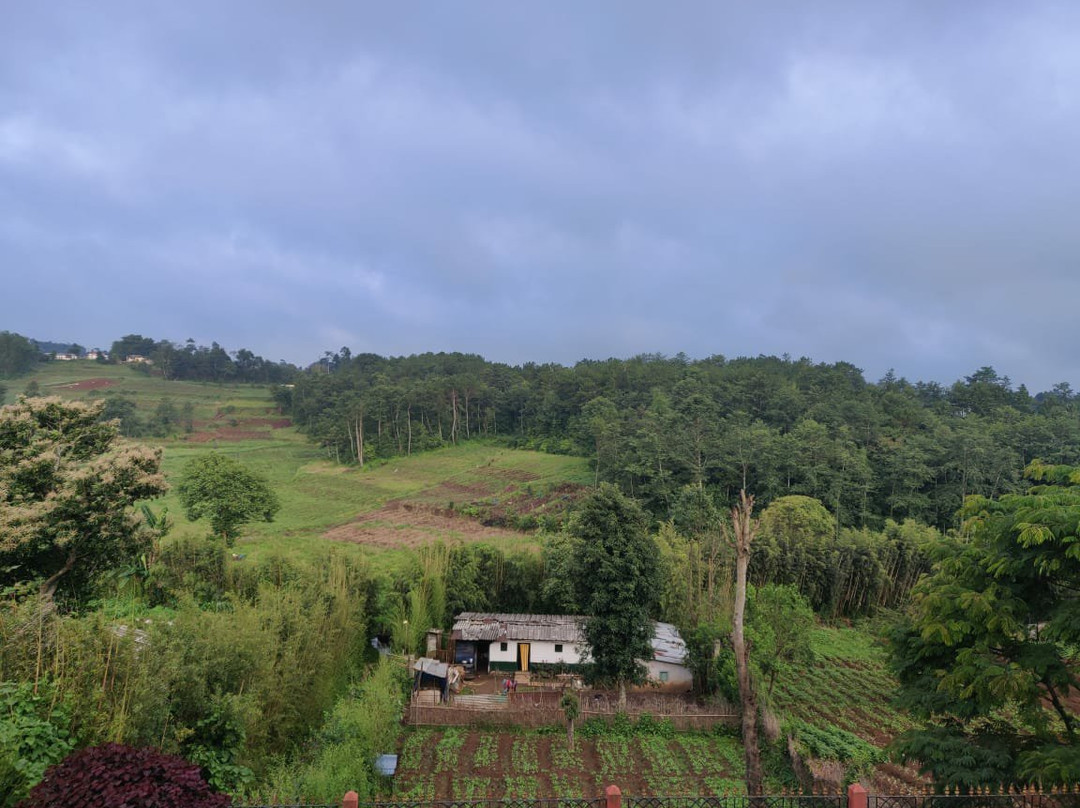 Pine Hill Homestay主图