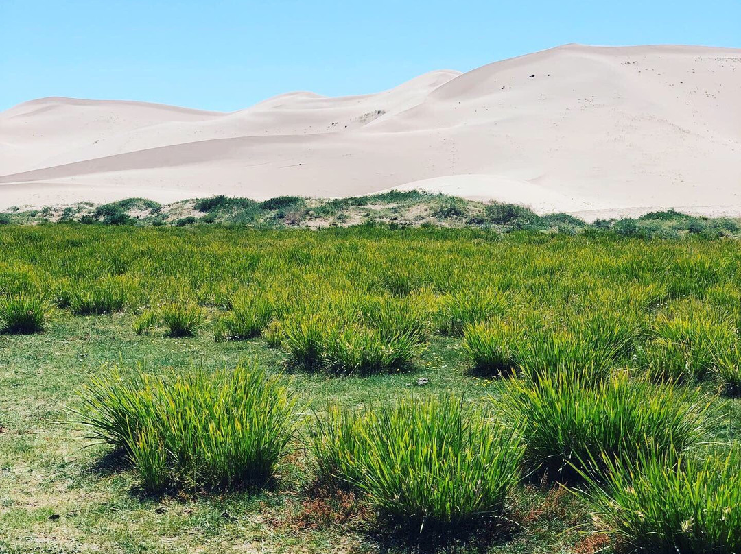 Gobi Gurvansaikhan National Park-Gobi Gurvansaikhan National Park必去景点