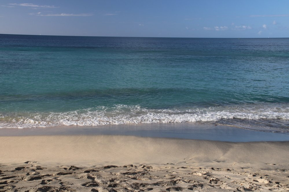 Parc a Boeuf Beach-Grand Anse必去景点