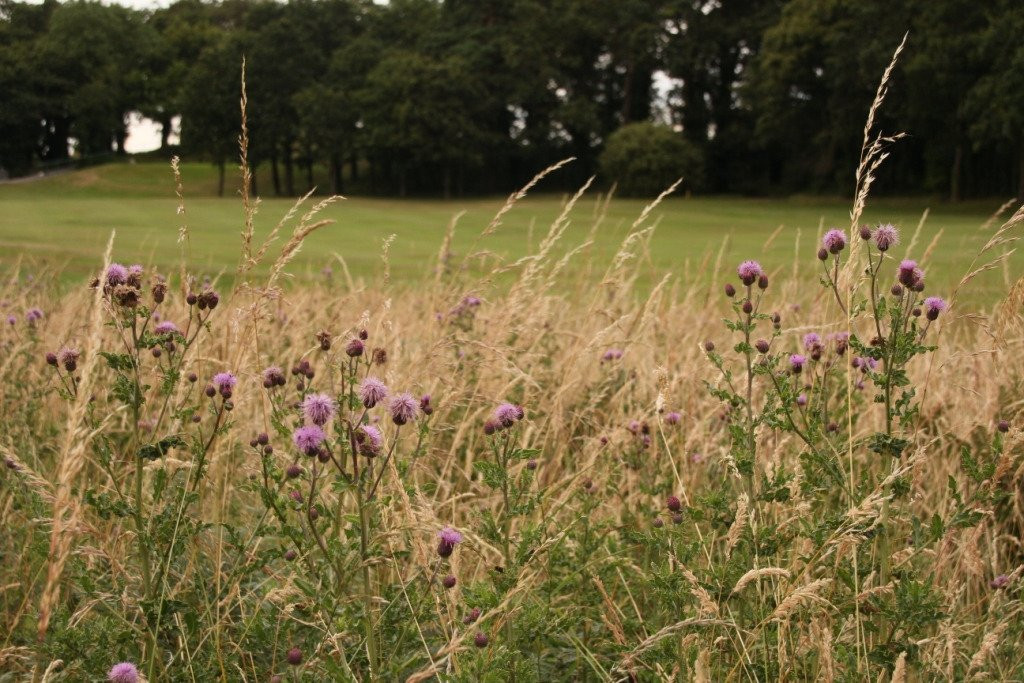 Carlow Golf Club-County Carlow必去景点