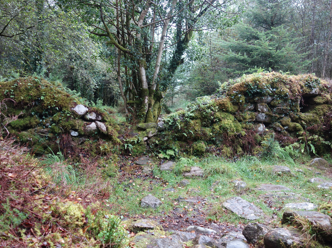 Bonane Heritage Park-凯里郡必去景点