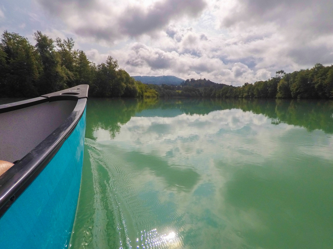 Drau Paddelweg - OFFICE
