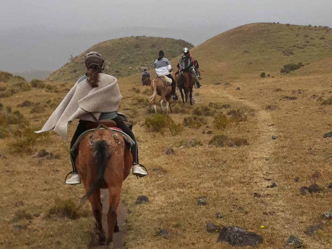 Hostería Papagayo Cotopaxi - Horseback Riding景点图片