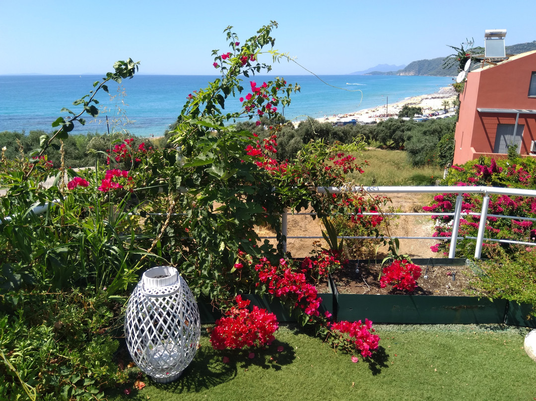 Palmina Mare Villa & Studios主图