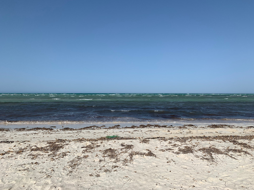 Zarziskite-Zarzis必去景点