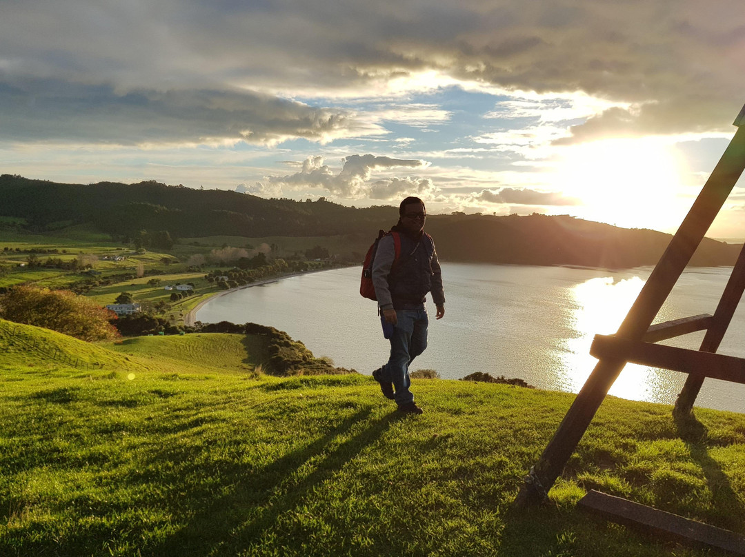 Wild Adventures New Zealand - Auckland Hiking Tours景点图片