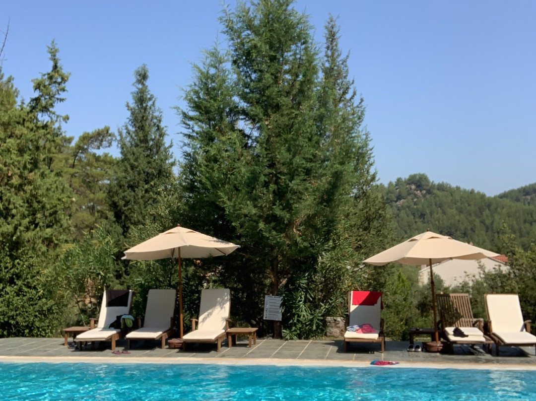 Neroli Butik Hotel主图