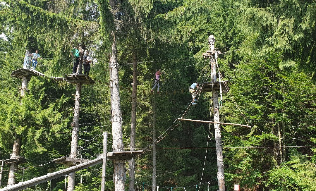 Tree Adventure Park Fundatica景点图片