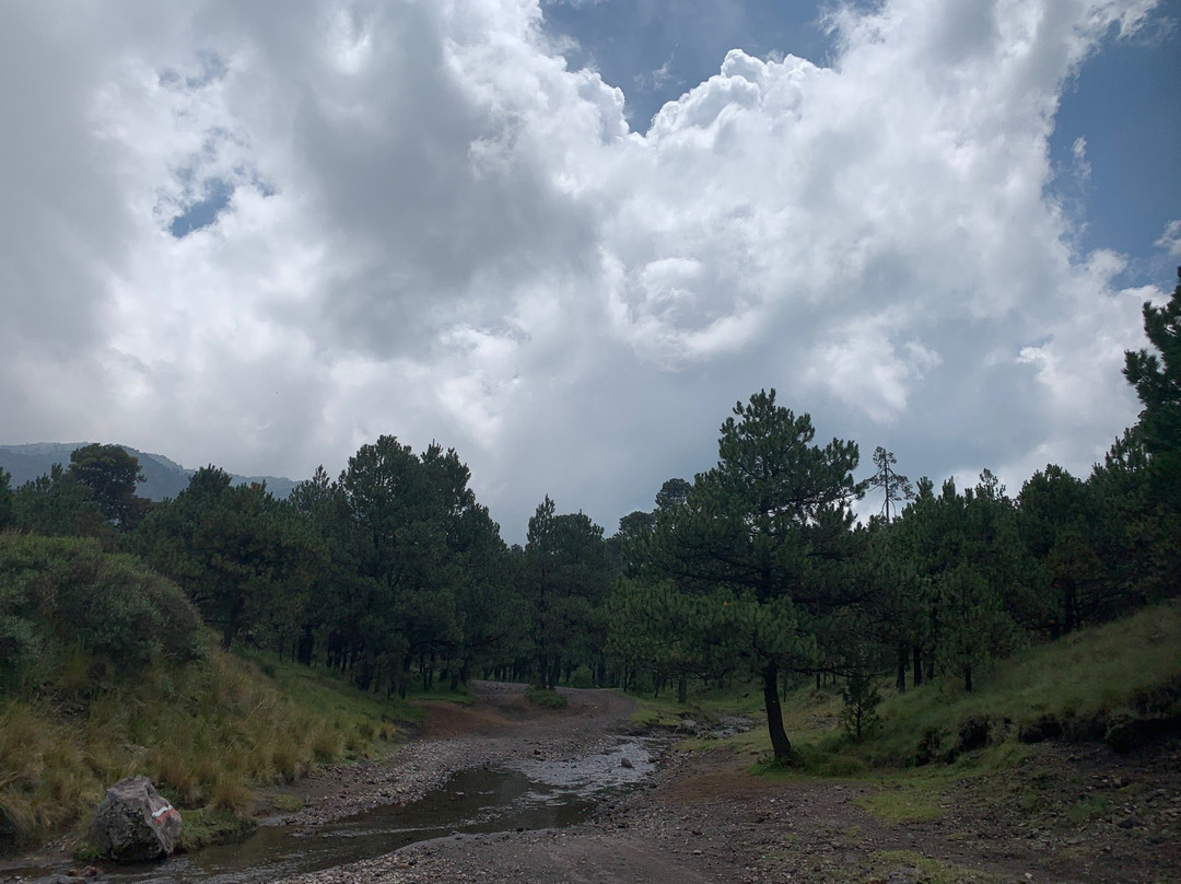 Cumbres Del Ajusco National Park-墨西哥城必去景点