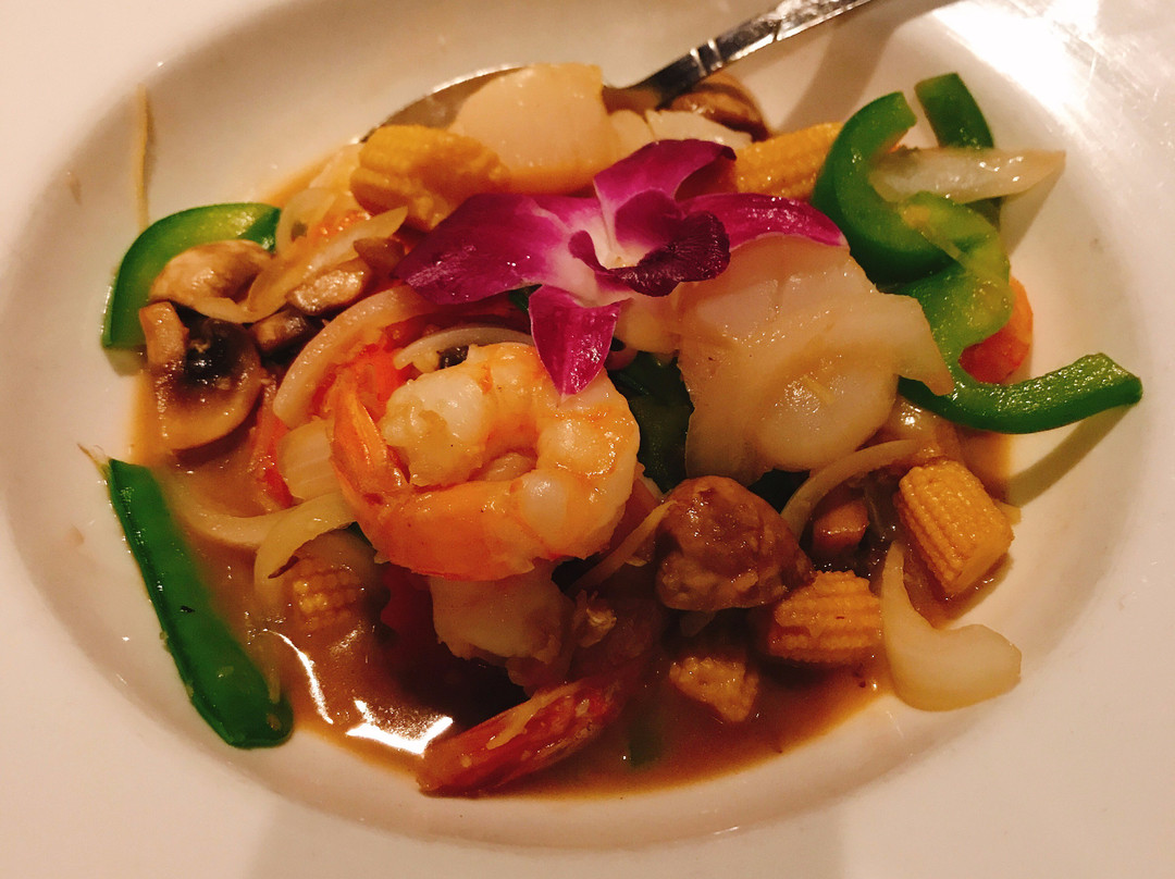 The Blue Elephant Trail