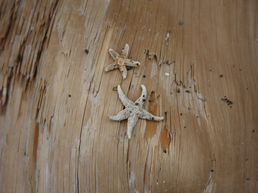 Tunstall Bay-Bowen Island必去景点