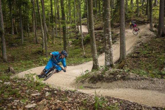 基辛维特酒店-官方