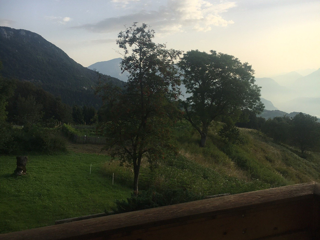 Agritur Malga Mortigola主图