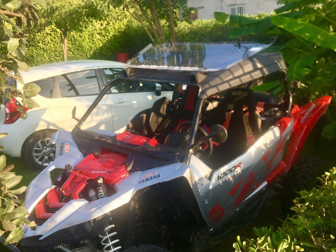 Romalea's Apartments主图