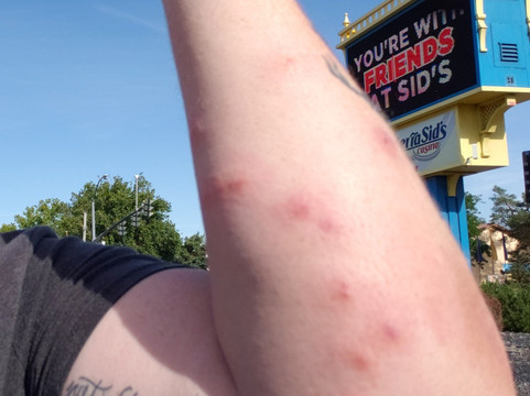 罗迪欧旅社主图