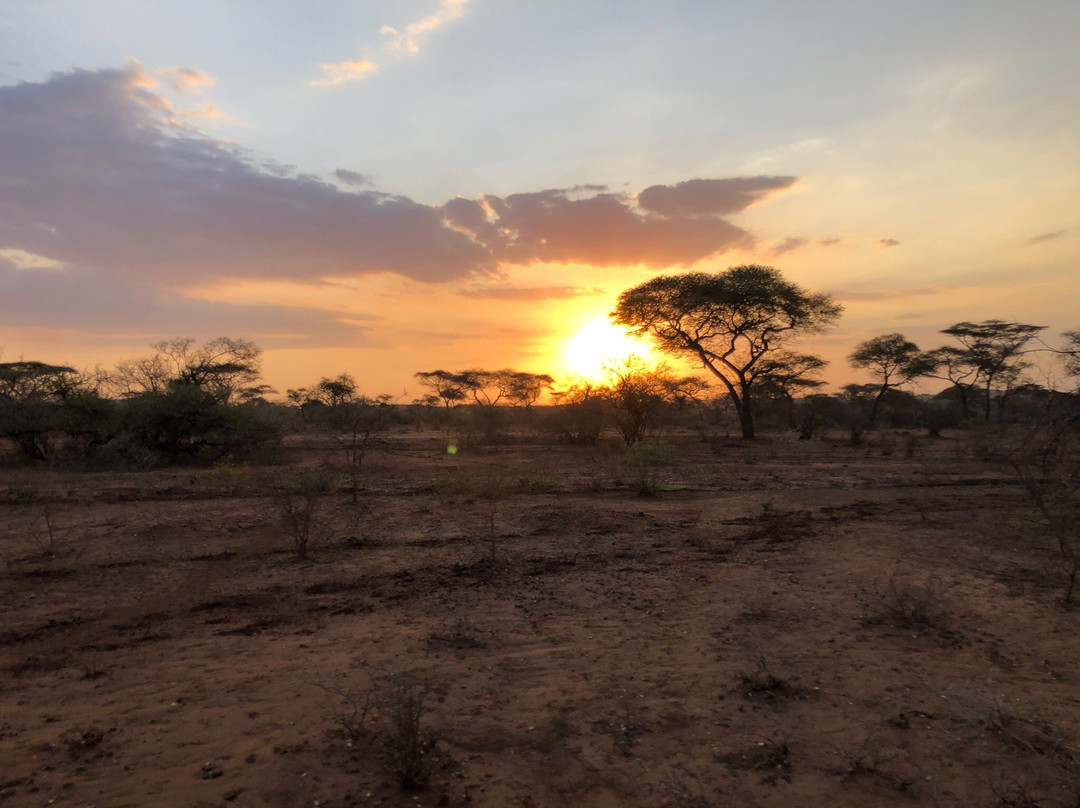 依考玛探险营地山林小屋主图