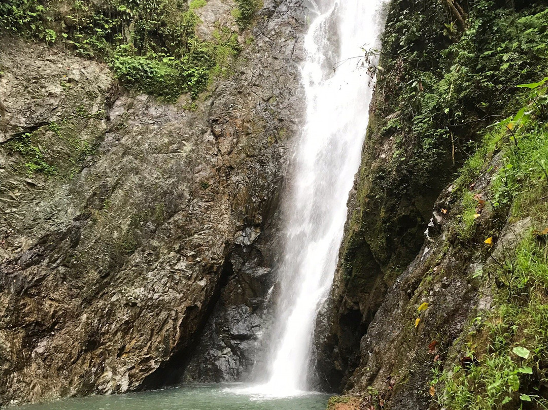 Discover Fiji Tours-Navua必去景点