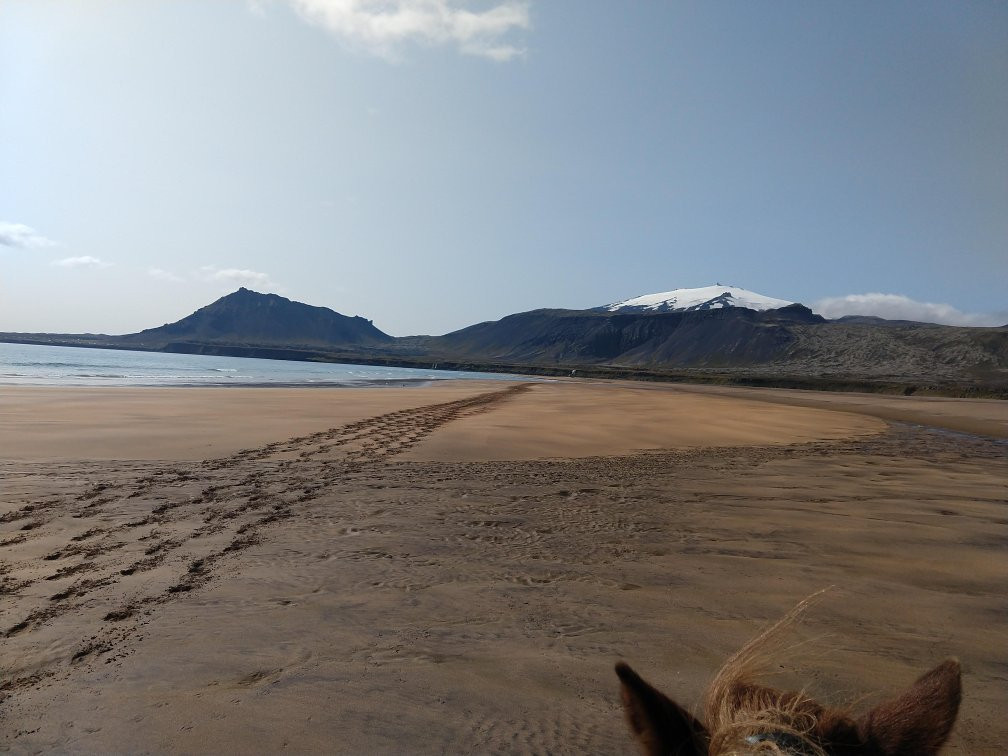 Stori Kambur Horse Rental-Snaefellsbaer必去景点