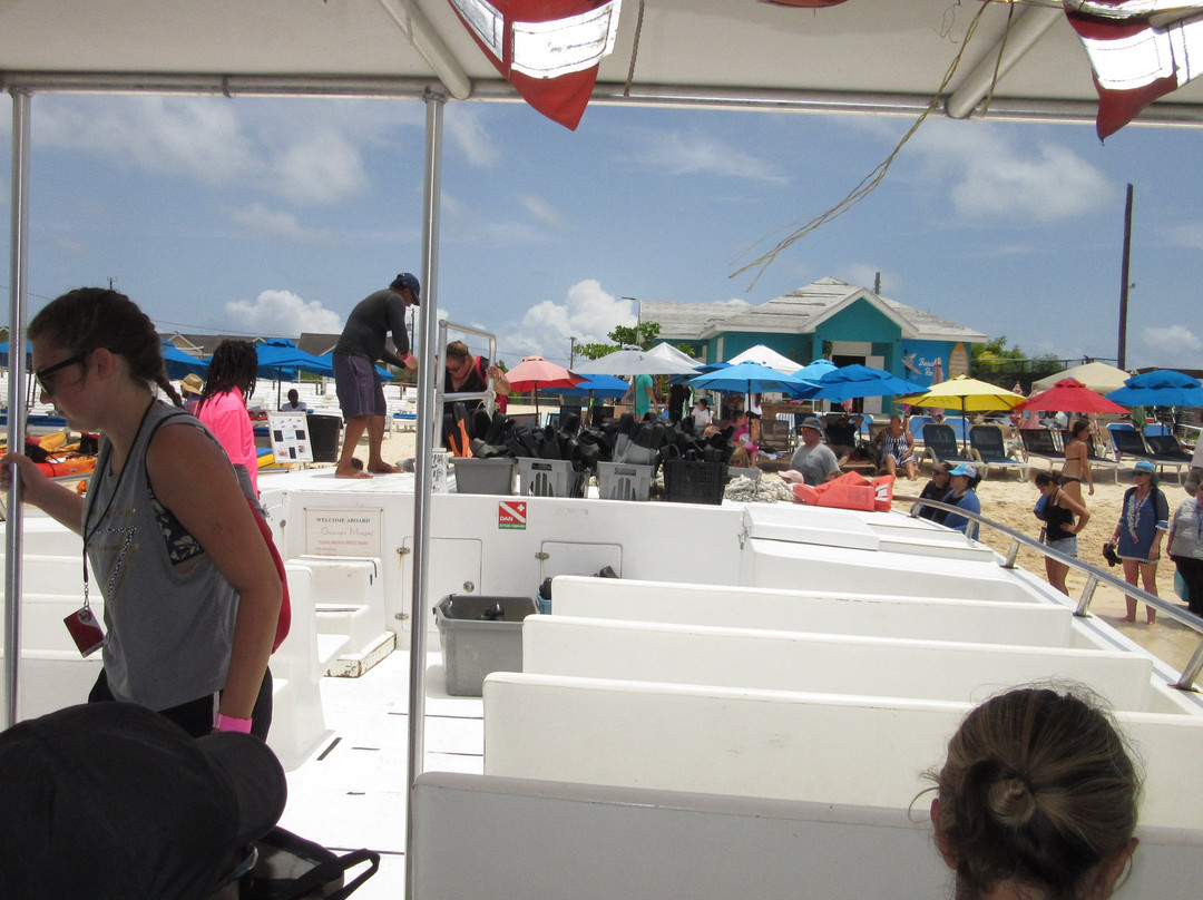 Ocean Vibes Scuba & Watersports-Grand Turk必去景点