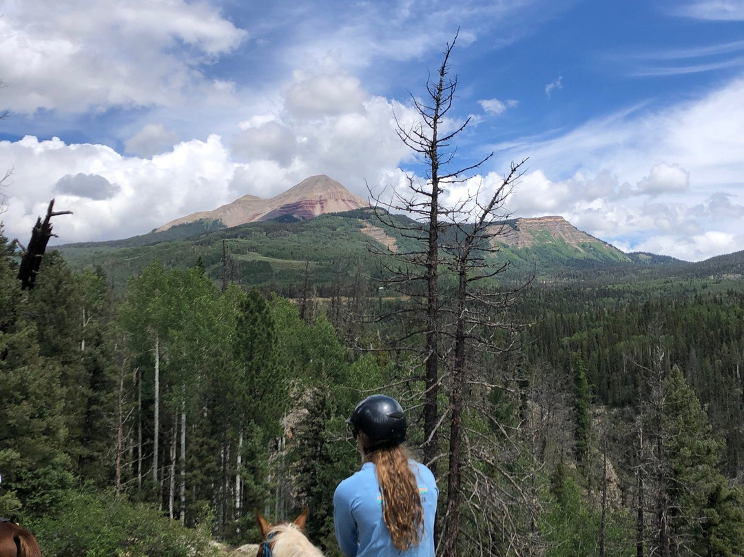 Buck's Livery Inc.-杜兰戈必去景点