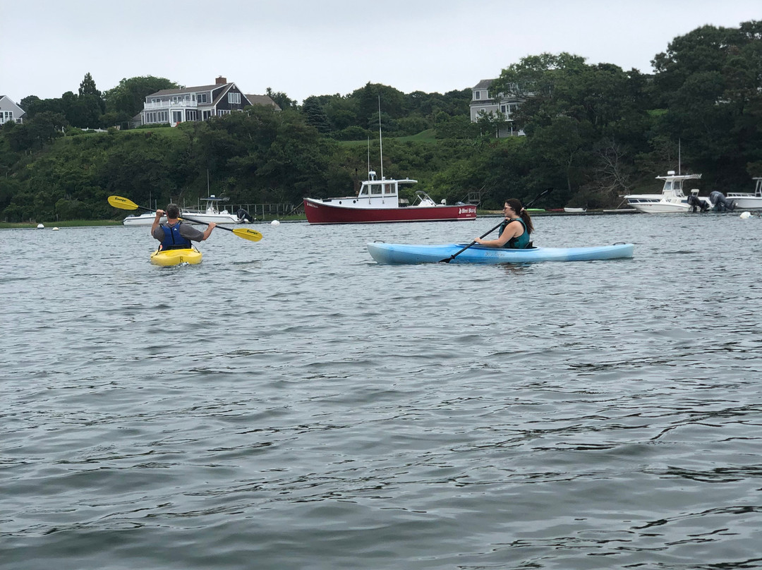Chatham Kayak Company - Guided Tours-查塔姆必去景点