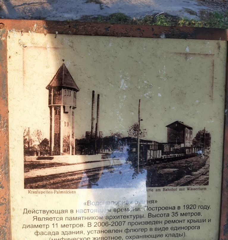 Water Tower Palmnikena景点图片
