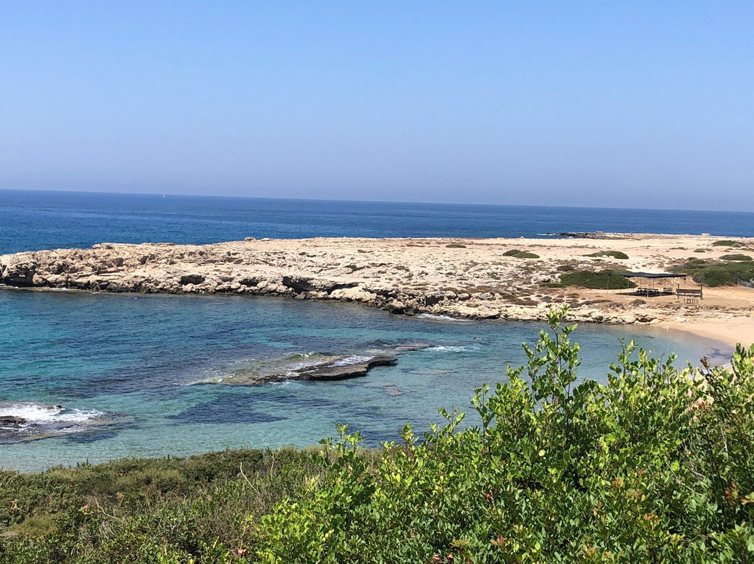 Balci Plaza Hotel & Restaurant - North Cyprus主图