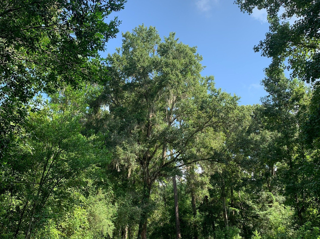 Silver Princess Motel主图